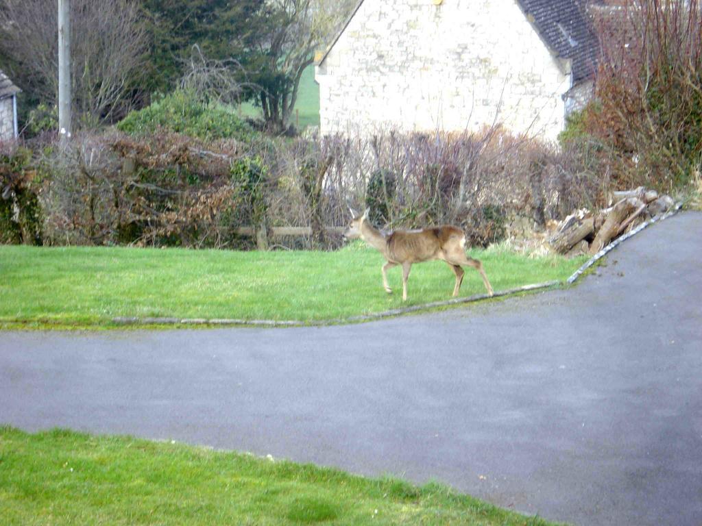 Bobby'S Nook Villa Stroud  Luaran gambar